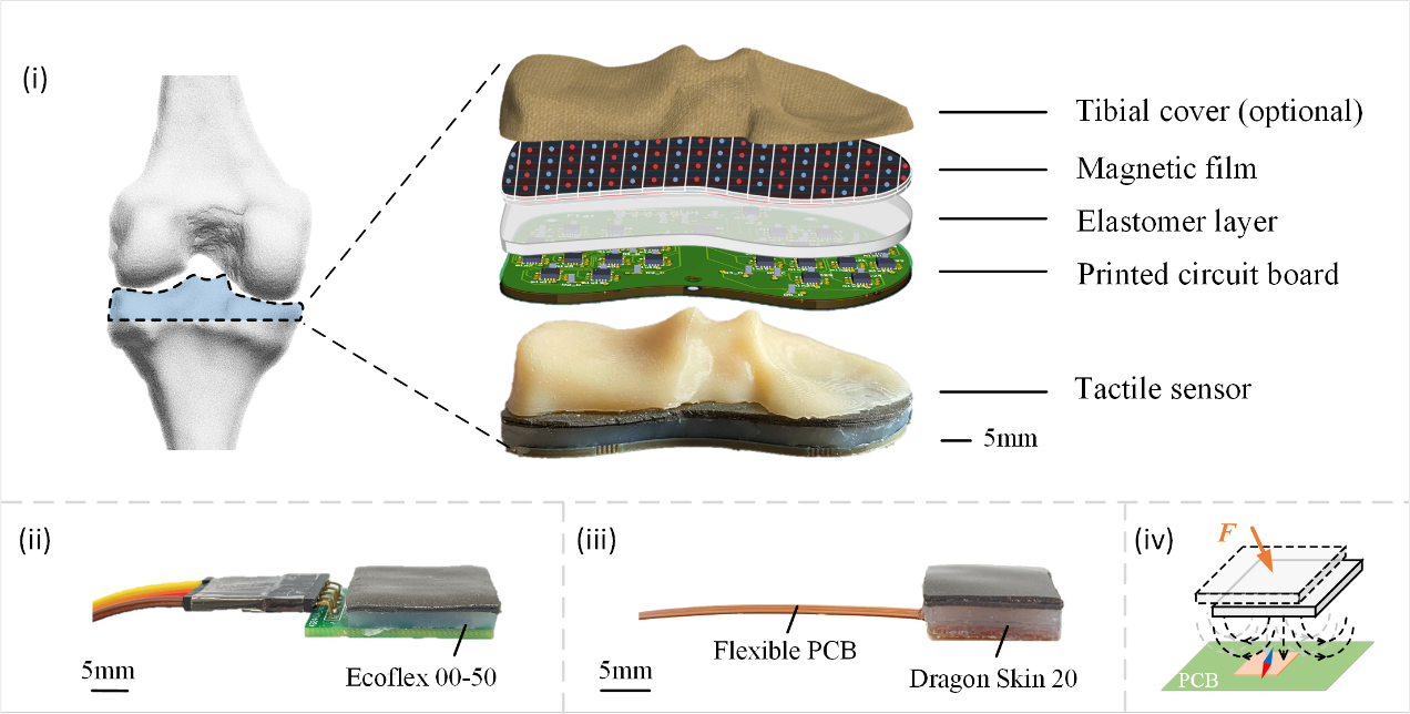 Fig. 1 | Sensor structure and working principle.
