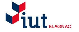 Logo IUT Blagnac