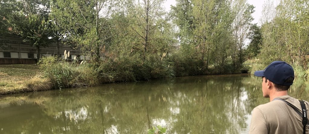 VILLAGE NATURE