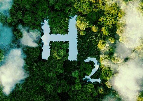 The H2 Green project