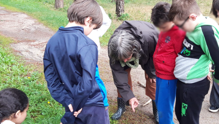 DECOUVERTE DES PLANTES SAUVAGES SUR LE CAMPUS