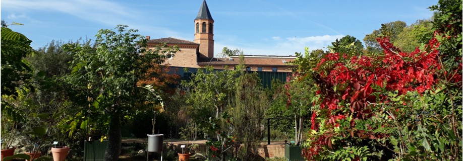 VISITE DU JARDIN BOTANIQUE DE TOULOUSE