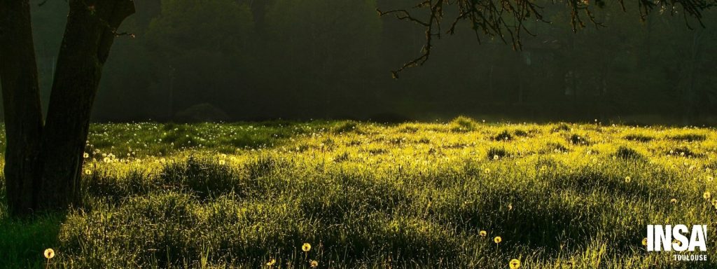 Parcours INSA biodiv’énigmes