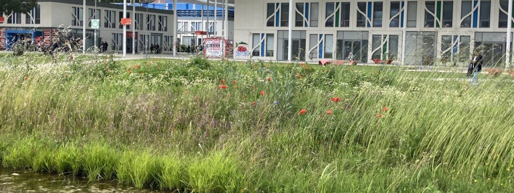 Eco-campus : visite guidée du campus du Mirail