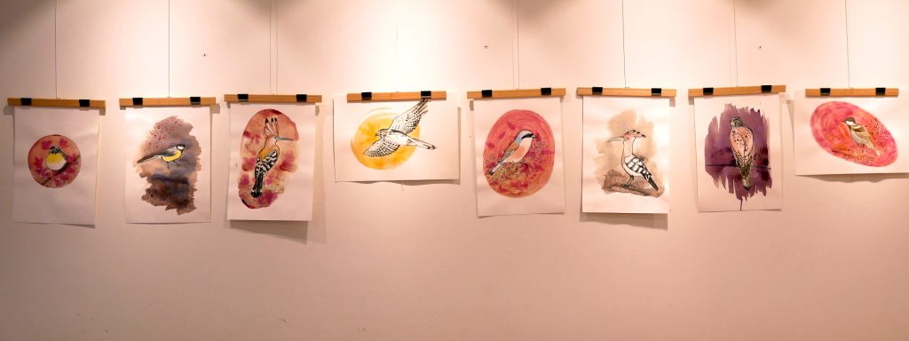 Oiseaux & Microbiote — peindre nos liens au vivant