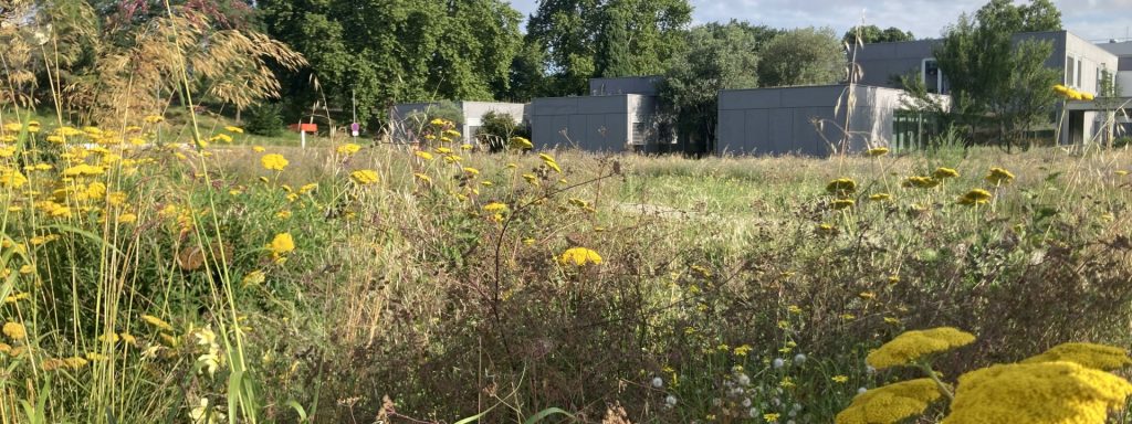 Inauguration du potager – sans inscription